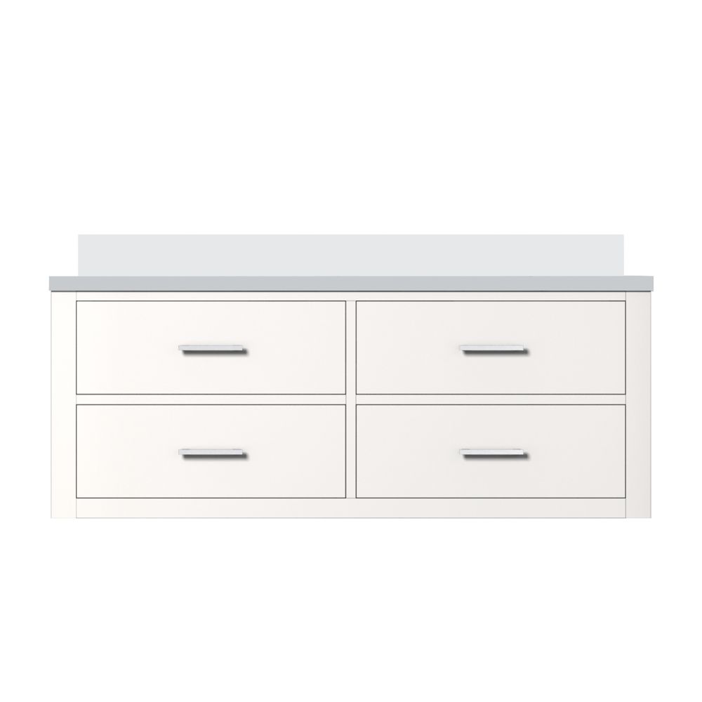 Castor 48 in W x 22 in. D White Double Bath Vanity and White Quartz Top