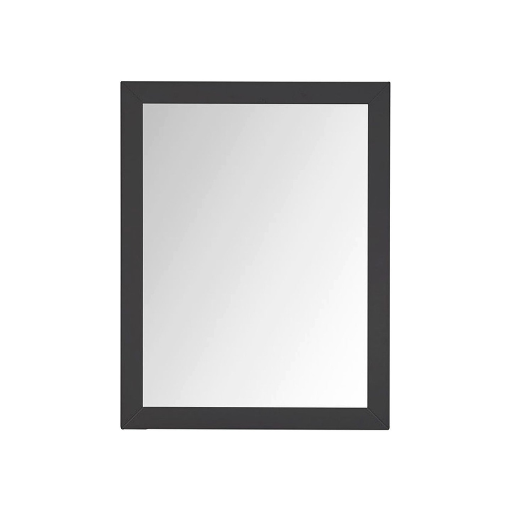 Castor 28 in W x 36 in H Black Mirror