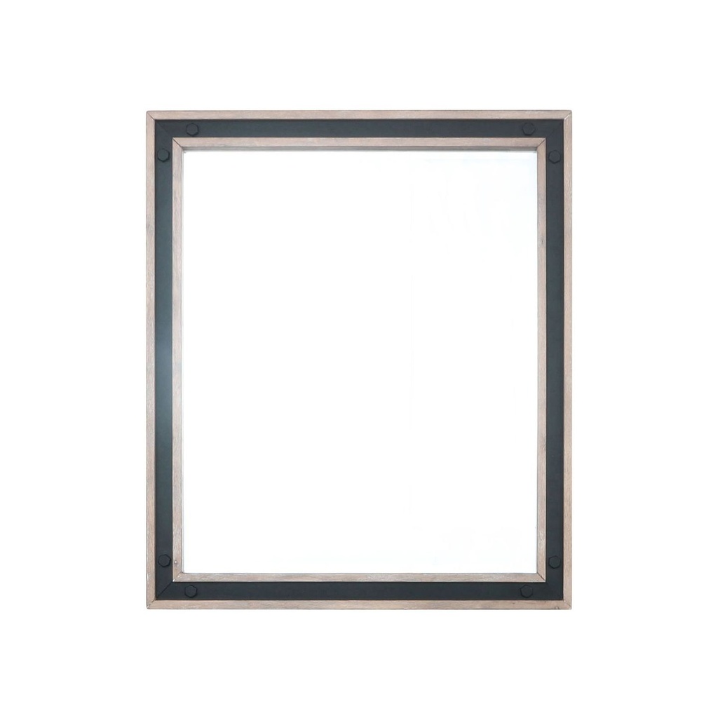 Ziva 28 in W x 32 in H Rustic Barnwood Mirror with Black Metal Inlay