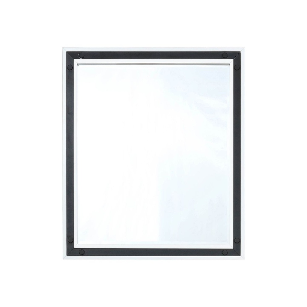 Ziva 28 in W x 32 in H White Mirror with Black Metal Inlay