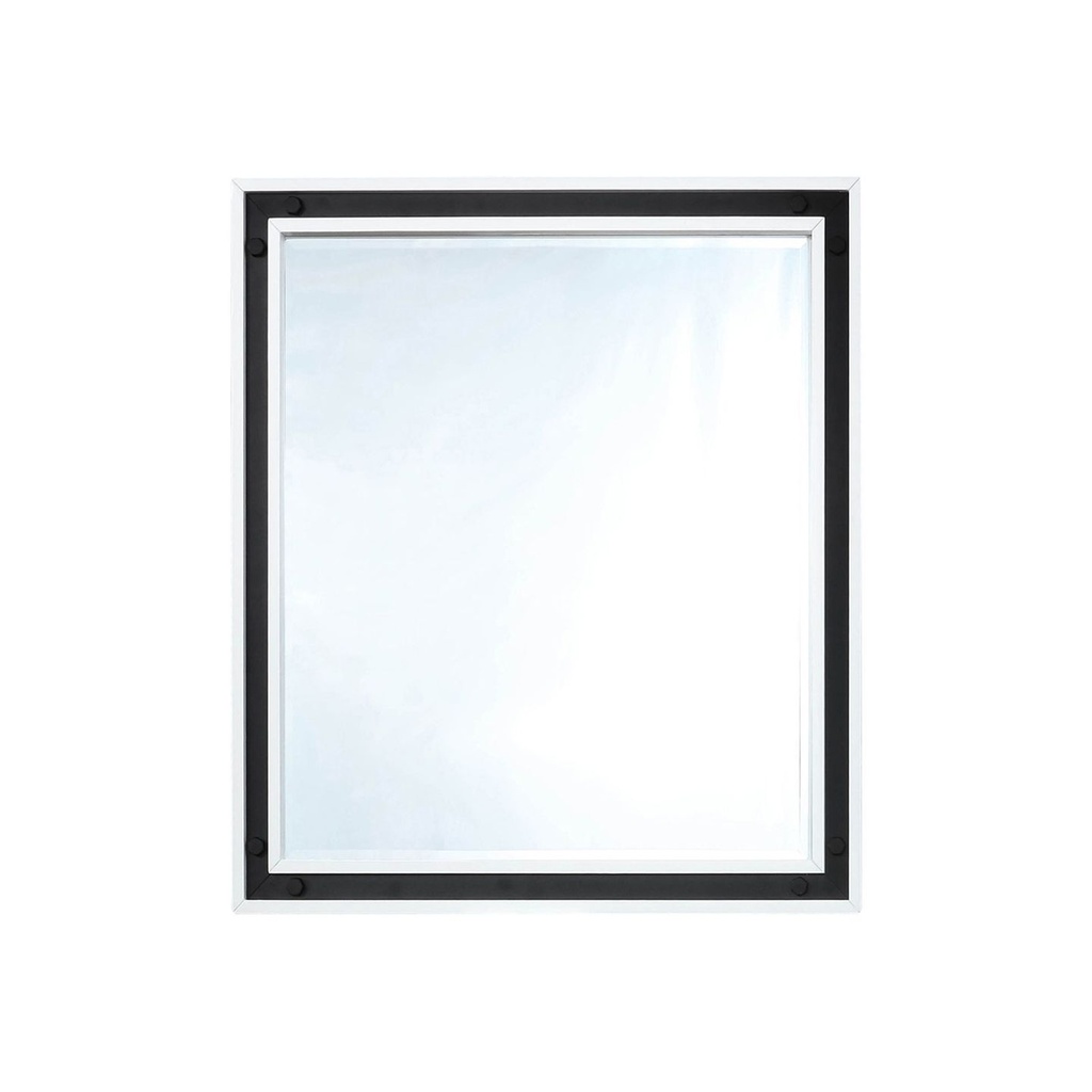 Ziva 30 in W x 32 in H White Mirror with Black Metal Inlay